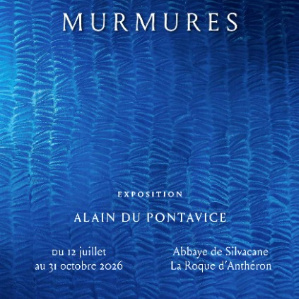 Exposition Murmures - Alain Du Pontavice