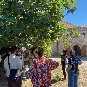 Grande journée à La Roque d'Anthéron