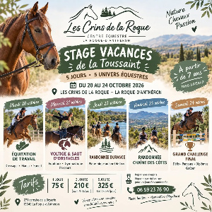 Stage vacances de la Toussaint