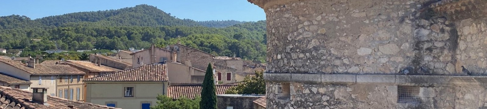 Visite guidée exceptionnelle du Château de Florans