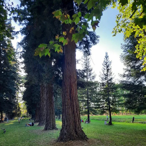 Le Parc de Florans